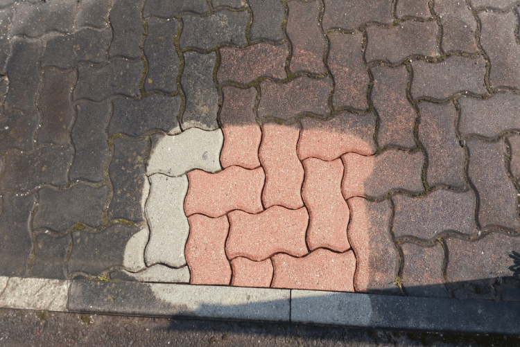 Gratis Probereinigung